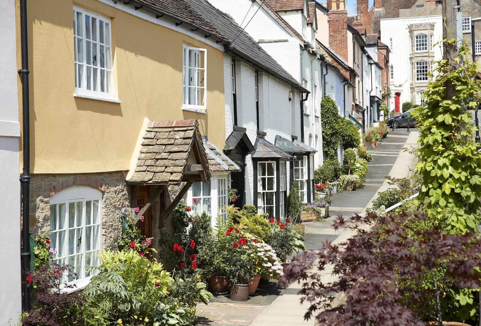 Bearwood Cottage Pembridge المظهر الخارجي الصورة